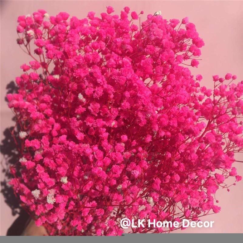 Hoa baby ướp khô Gypsophila trang trí phòng ngủ, làm đồ hanmade, chụp hình cưới siêu xinh