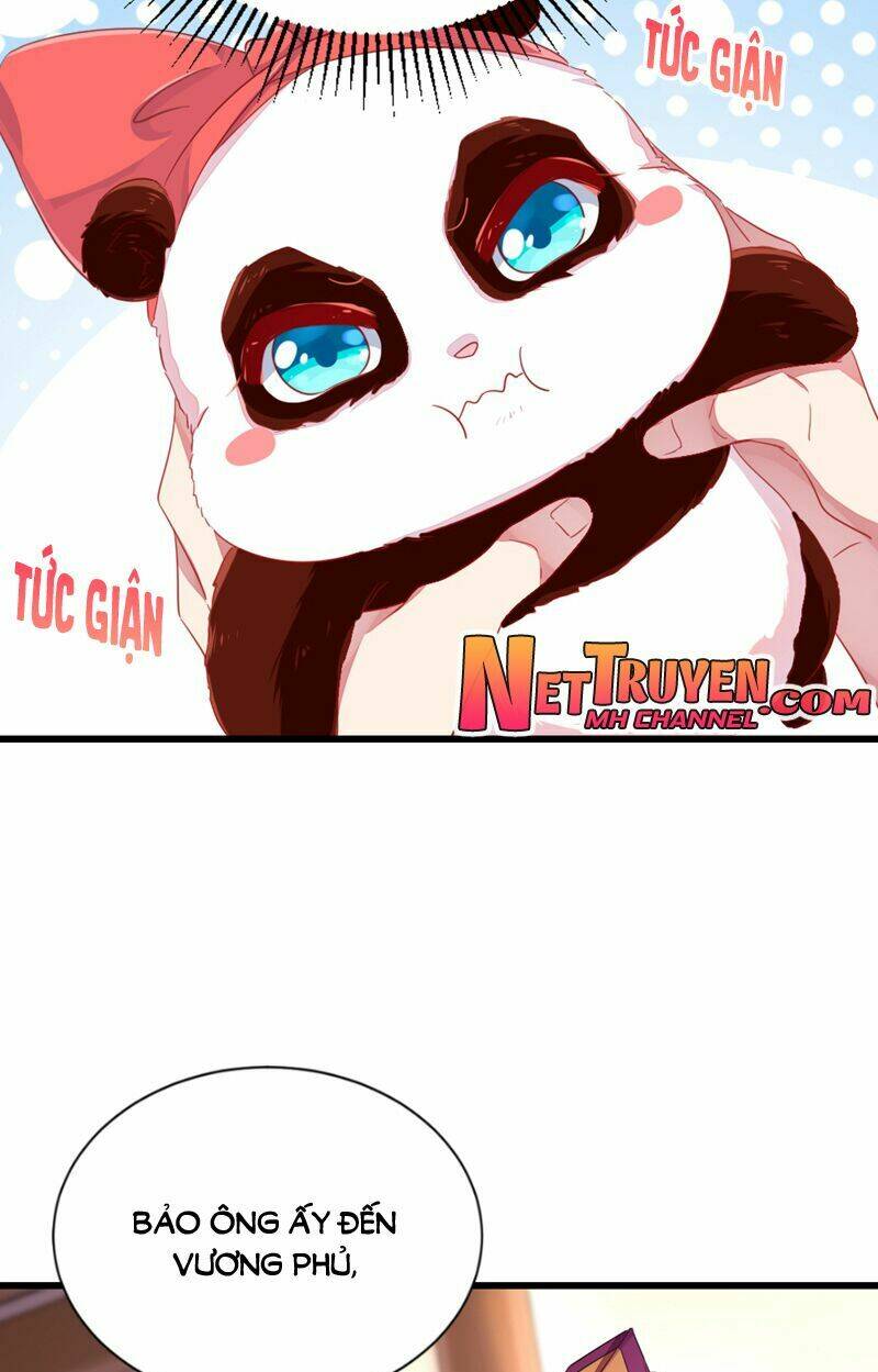 thiên thần gấu trúc muốn được ôm chapter 24 9