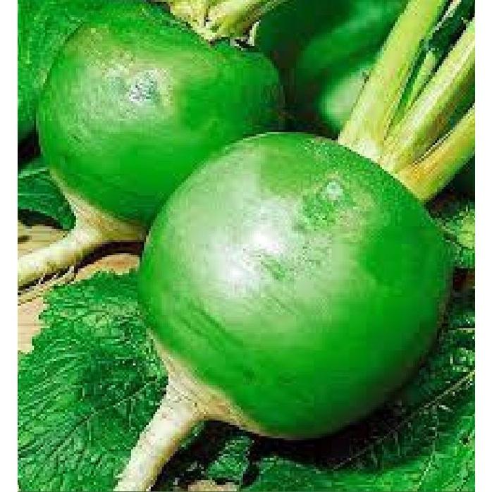 Hạt giống củ cải xanh ruột đỏ CT60 - Gói 2gram