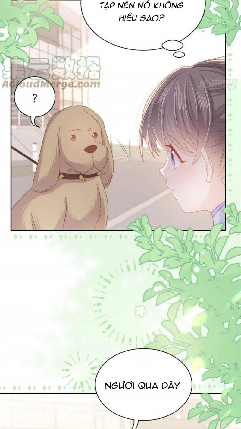 đoàn sủng lão đại ba tuổi rưỡi chapter 181 13