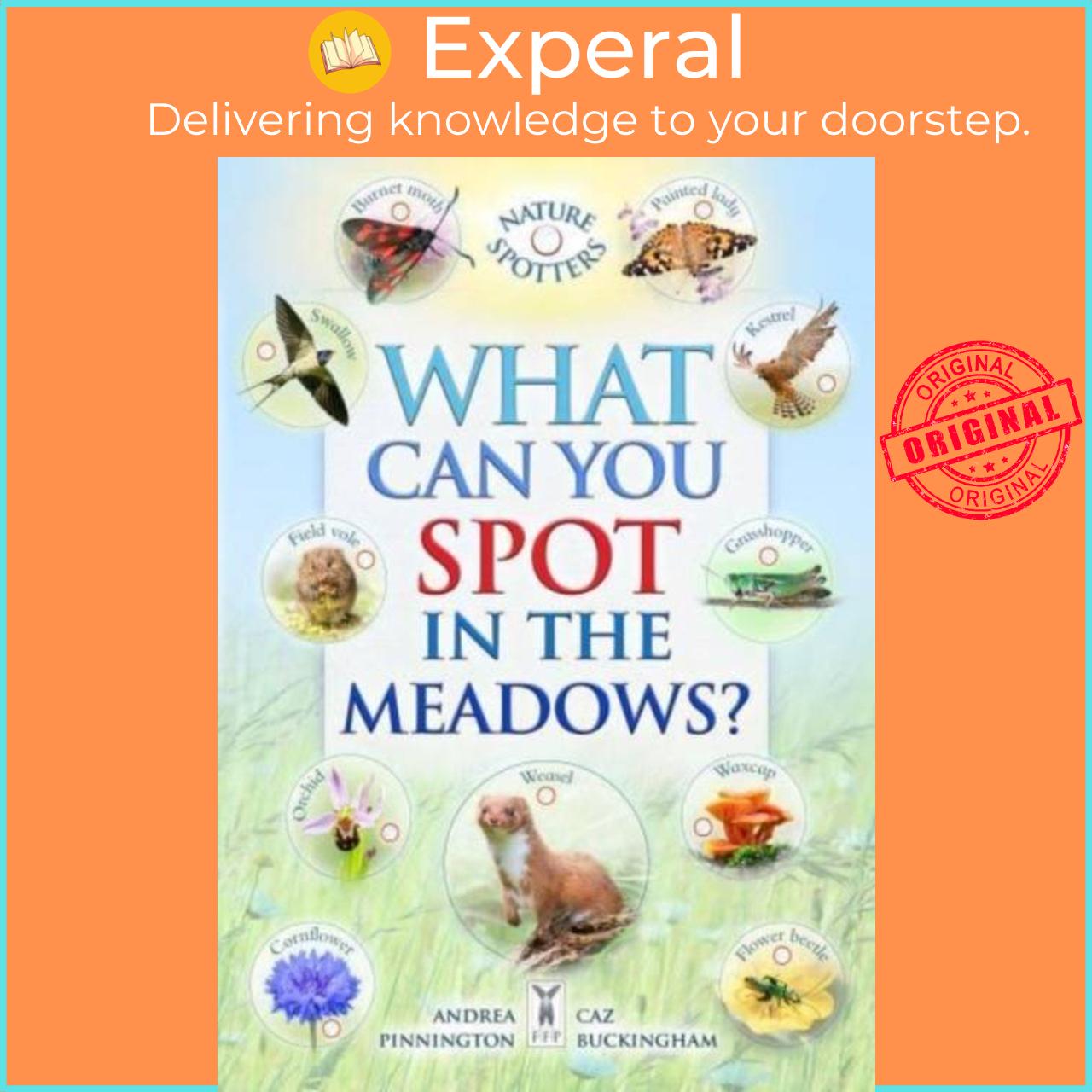 Sách - What Can You Spot in the Meadows? by Ben Hoare (UK edition, paperback)