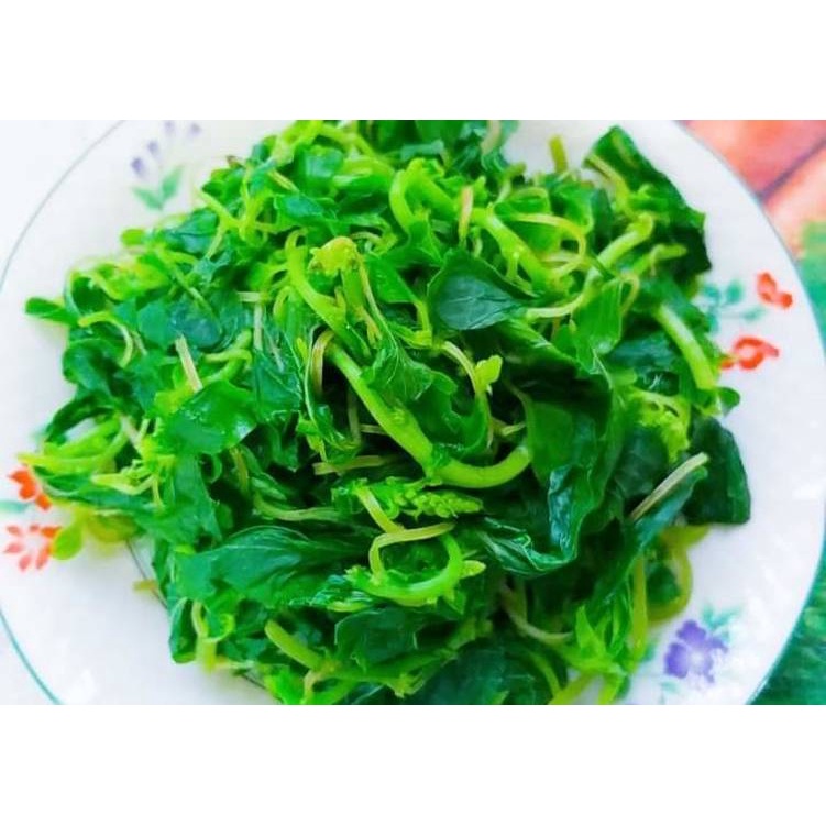 Hạt giống Rau dền cơm 86