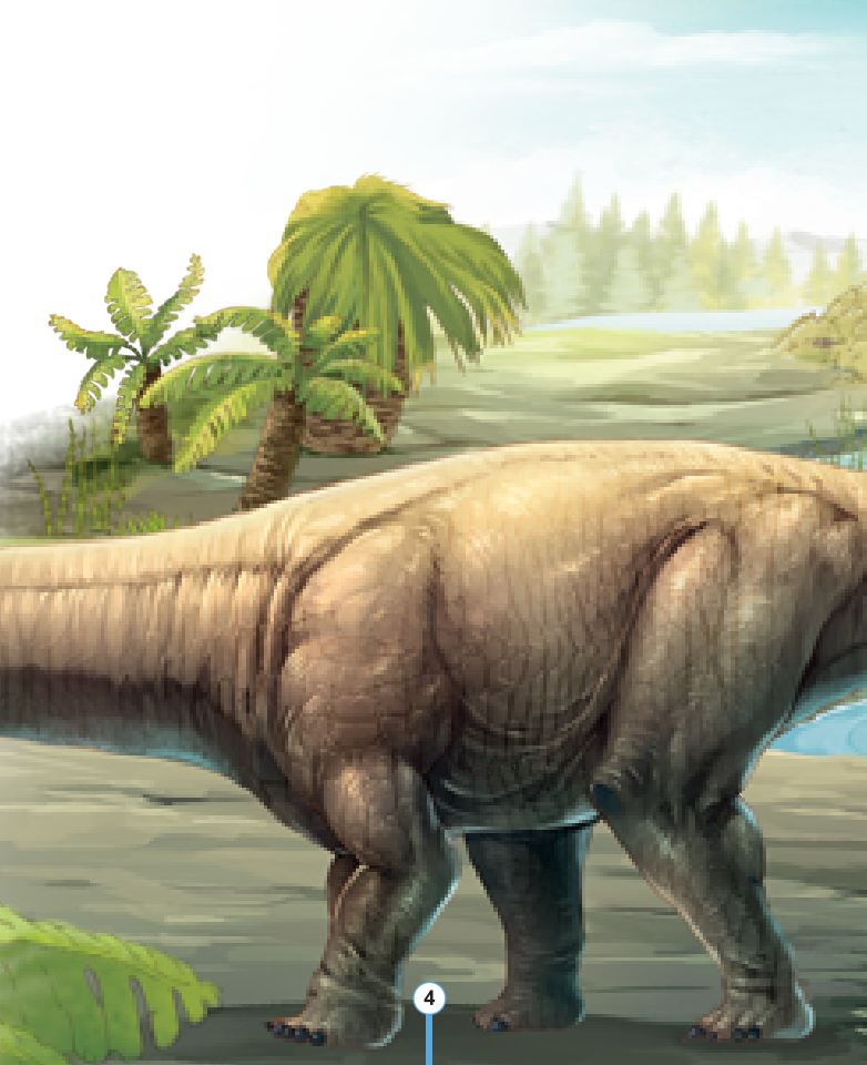 Kiến Thức Về Khủng Long - Cổ Khủng Long Mamenchisaurus Dài Bao Nhiêu? Cơ Thể Khủng Long Chứa Đầy Bí Mật