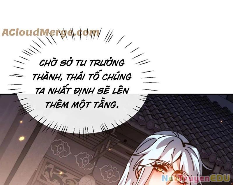 Sư Tôn: Nghịch Đồ Này Mới Không Phải Là Thánh Tử chapter 114 154