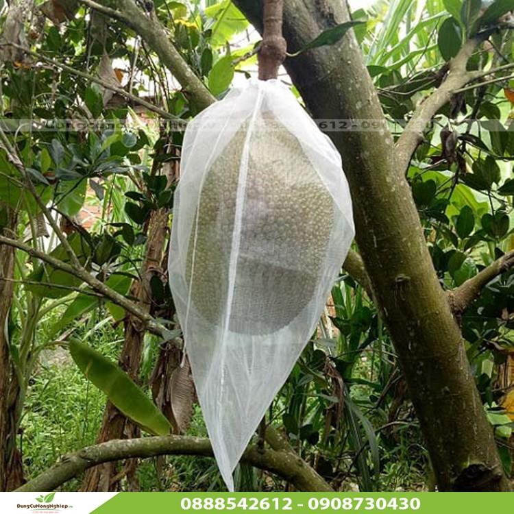 Sét 20 túi bọc bưởi kích thước 30x35cm có dây rút