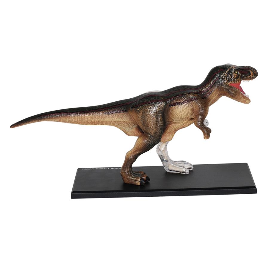 Đồ Chơi Mô Hình Giải Phẫu 4D - Khủng Long T-Rex 4D Master 622013