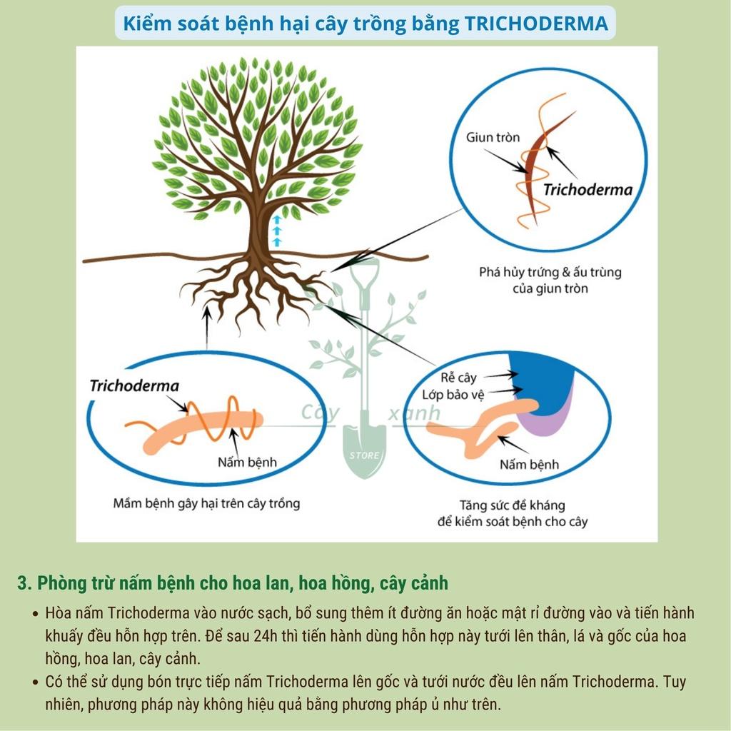 Chế phẩm men vi sinh nấm Trichoderma loại 1kg mã PM027. ĐIỀN TRANG - TRICHO 1000G