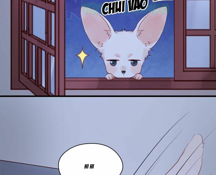 lượm được 1 tiểu hồ ly chapter 52 18