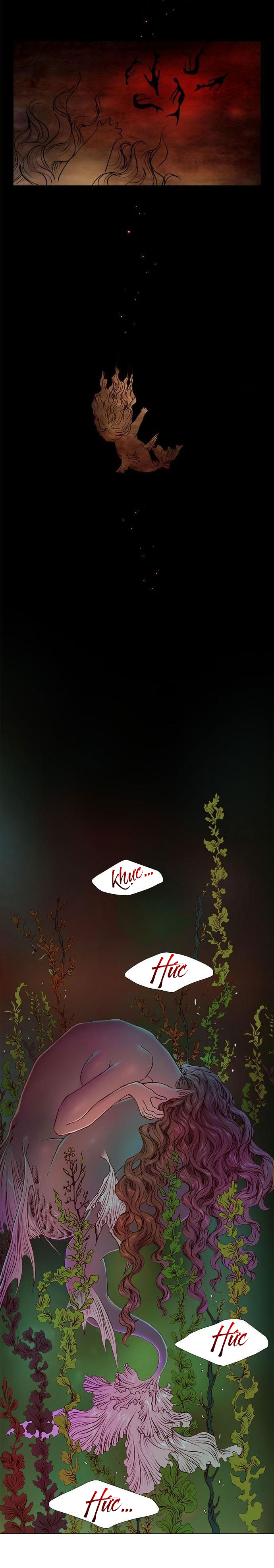 tôi chính là nhà sưu tập chim chapter 23.3 3