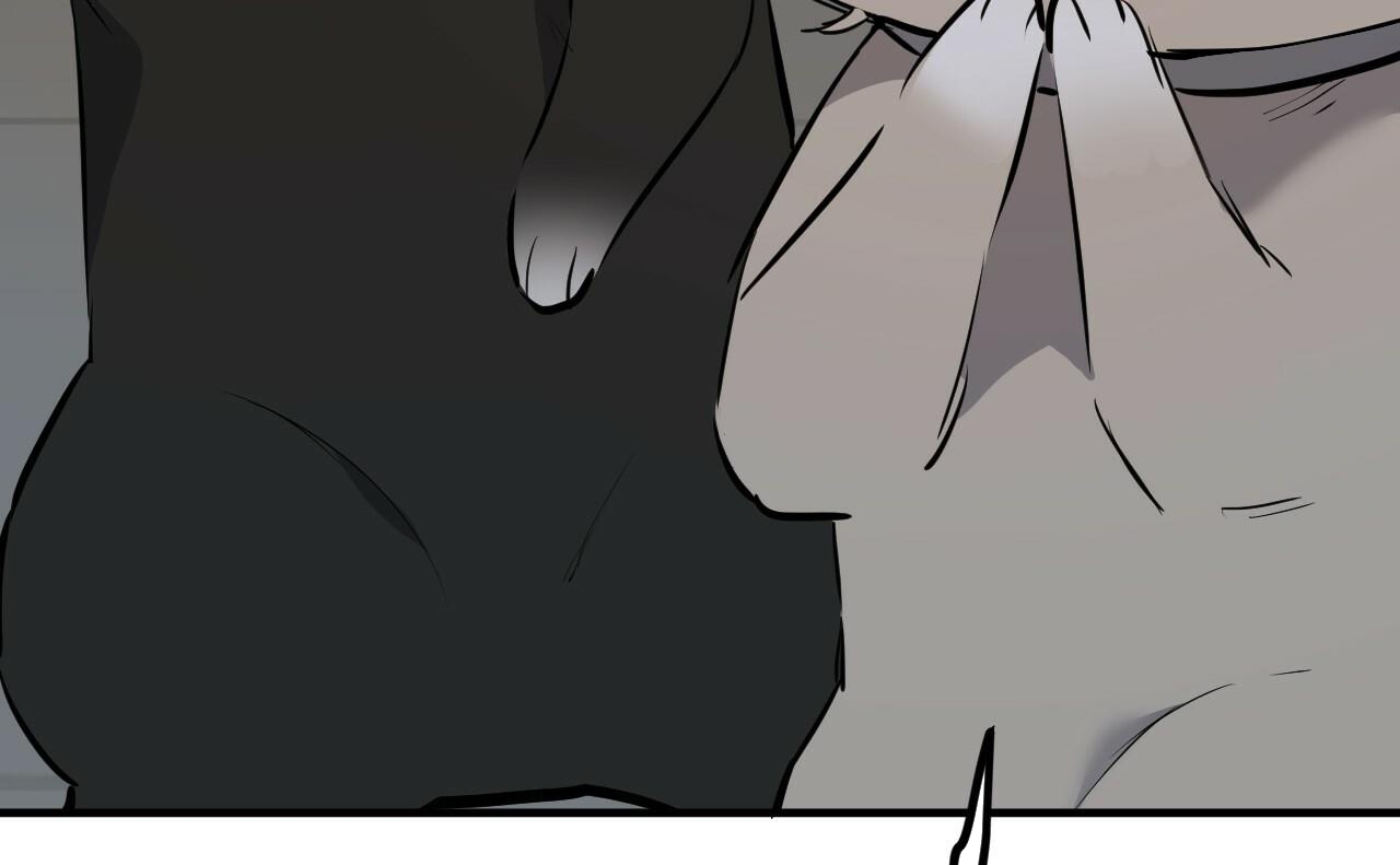 đàn thỏ của habibi chapter 46 26