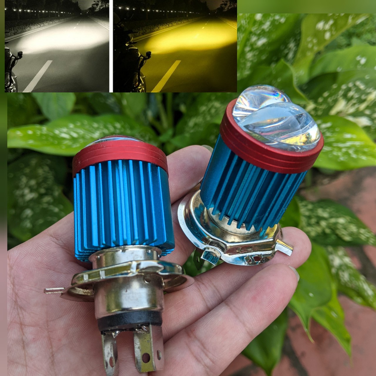Đèn pha xe máy led bi cầu Z02 cốt vàng pha trắng hàng cao câp