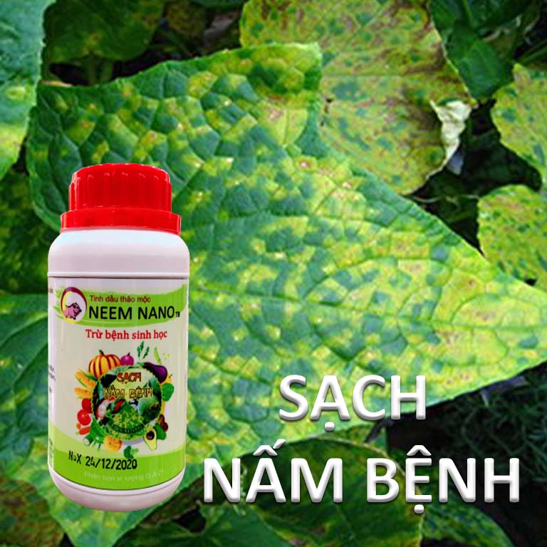 VƯỜN SINH THÁI - Thuốc trừ nấm bệnh sinh học neem nano - Sạch thán thư, rỉ sắt, thối nhũn, đốm đen, héo xanh, phấn trắng - Chiết xuất 100% Thiên Nhiên