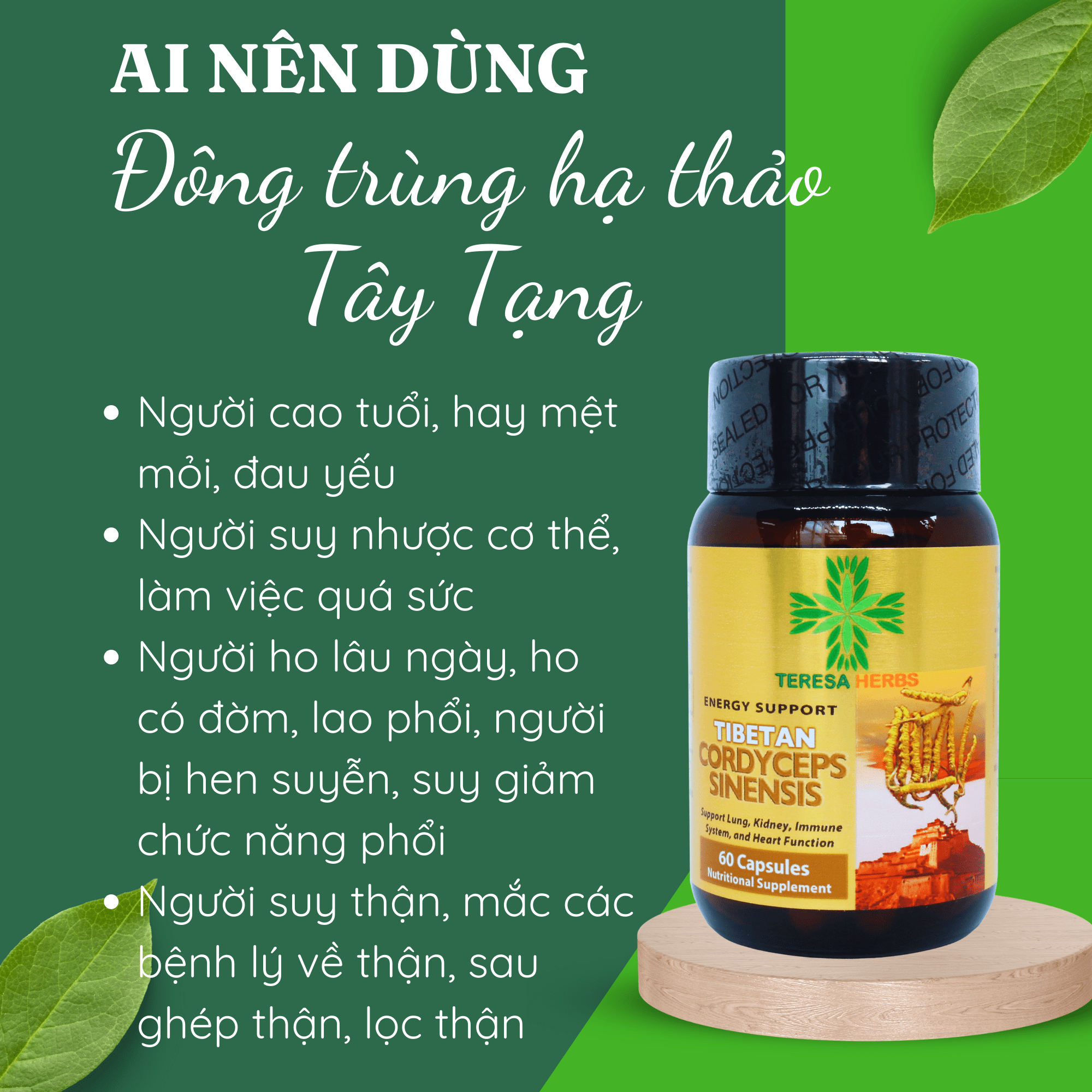 Đông Trùng Hạ Thảo Tây Tạng (Made in USA) - Hoạt chất Polysacharide và Cordycepin/Adenosine cao, giúp tăng đề kháng, hệ miễn dịch nhanh, bổ phổi, bổ thận, ngủ ngon, giảm mệt mỏi, chống lão hóa, tăng cường sinh lý ( 60 Viên 500mg/ viên)