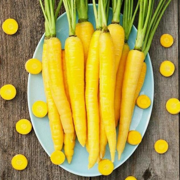 HẠT GIỐNG CÀ RỐT VÀNG CHỊU NHIỆT+ 700g phân thỏ hữu cơ