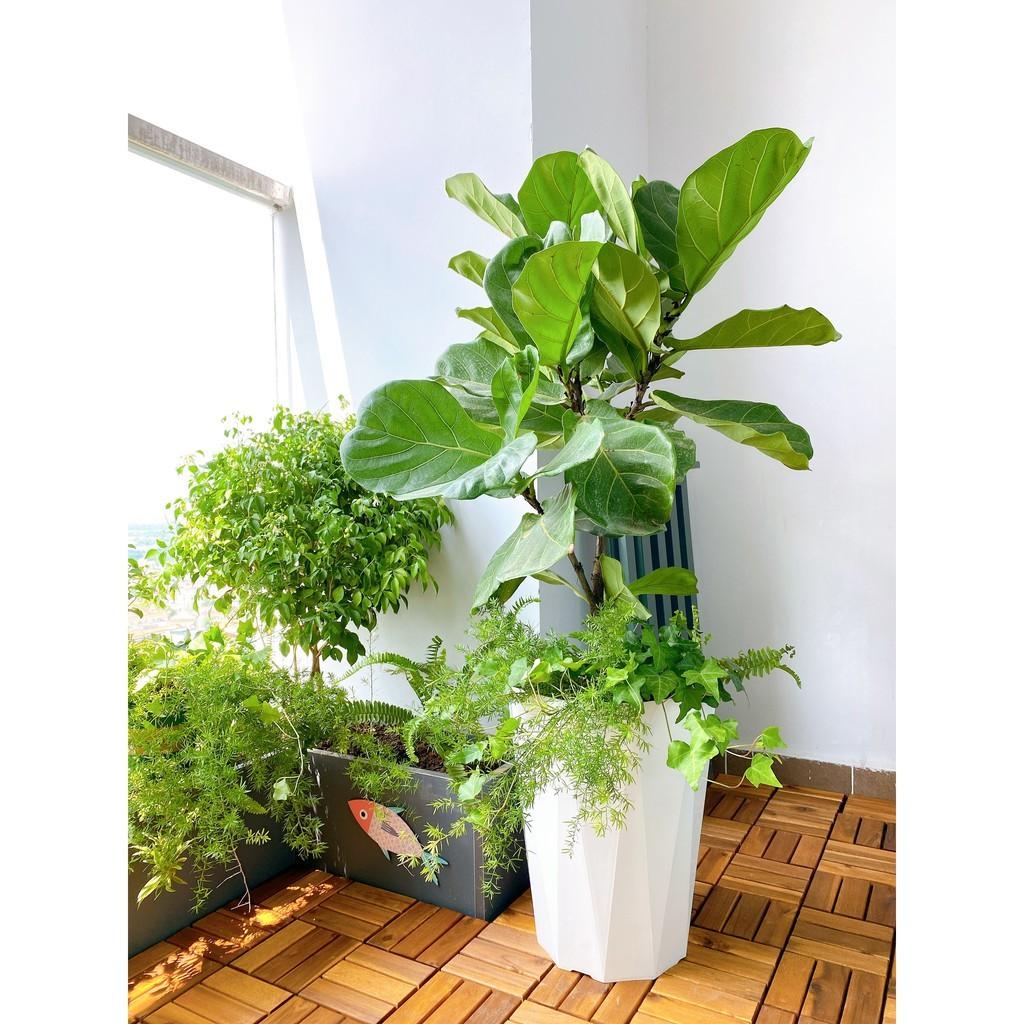 Vỉ GỖ TỰ NHIÊN VỈ NHỰA - TẤM VỈ NHỰA SÀN GỖ LẮP BAN CÔNG- VỈ LÓT SÀN BAN CÔNG