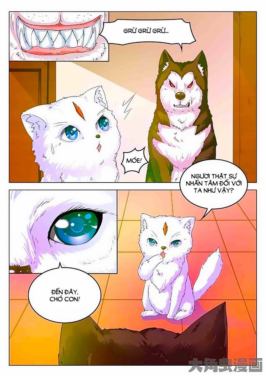 mau lấy con mèo đó ra chapter 2 13