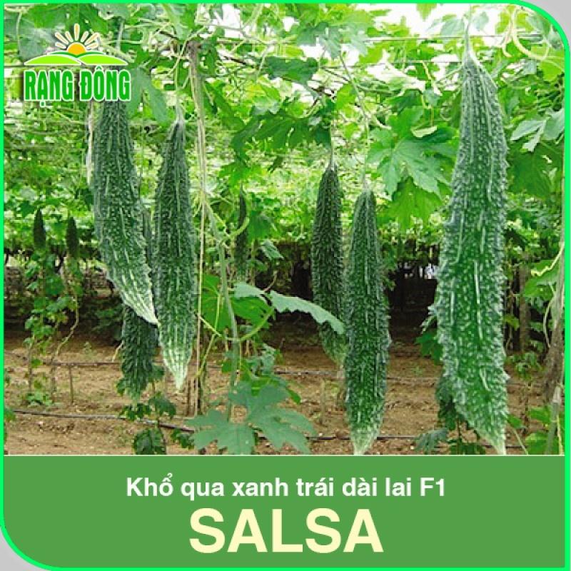 Hạt giống Khổ Qua Xanh Trái Dài Salsa (5 hạt) trồng quanh năm, trái sai, năng suất ổn định - Hạt giống Rạng Đông