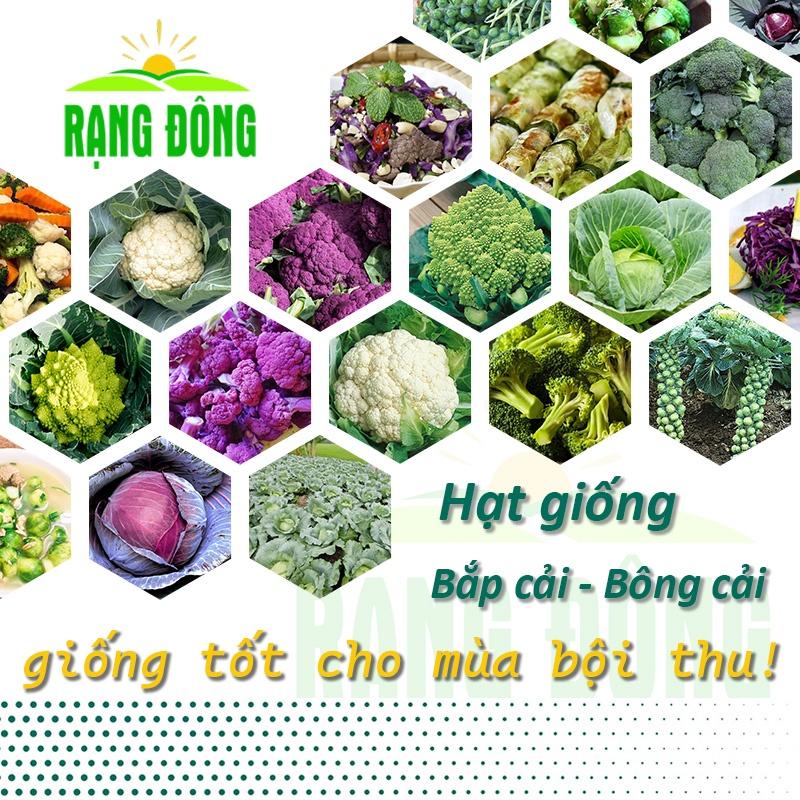 Hạt giống Bắp Cải - Bông Cải (Súp Lơ) sinh trưởng khỏe, phù hợp khí hậu nóng - Hạt giống Rạng Đông