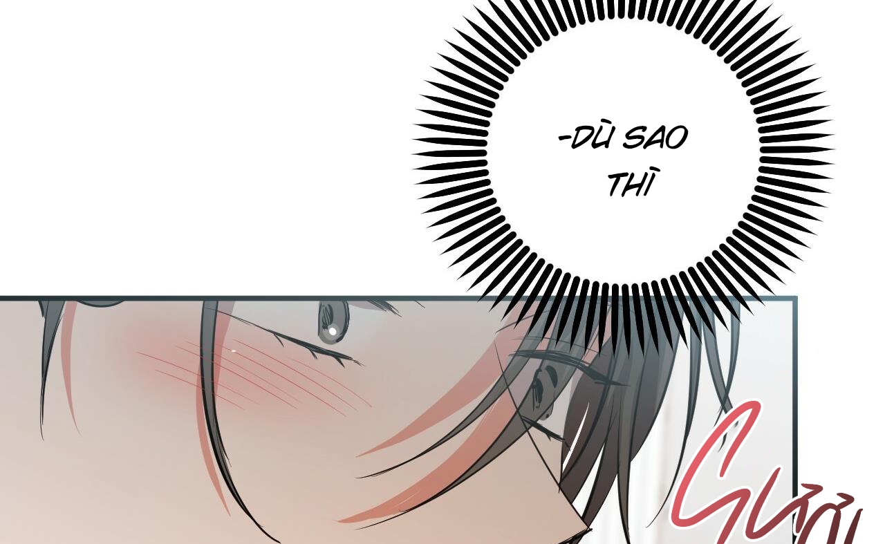 những chú thỏ của hapypy chapter 52 44