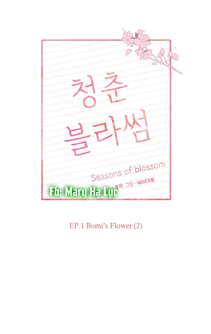 thanh xuân rực rỡ - season of blossom chapter 2 15