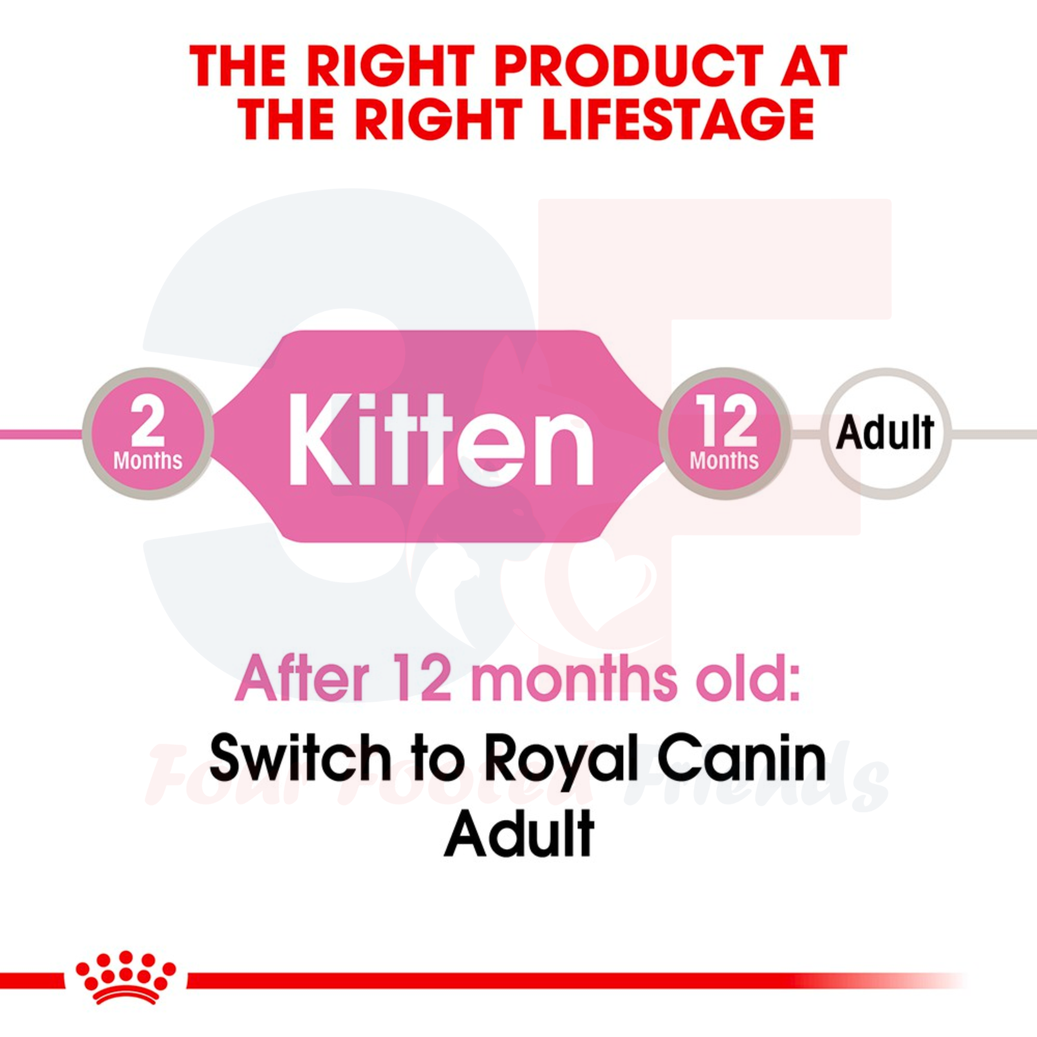 Pate Thức Ăn Ướt Dạng Sốt Dành Cho Mèo Con Từ 4-14 Tháng Tuổi Royal Canin Kitten - Gói 85g