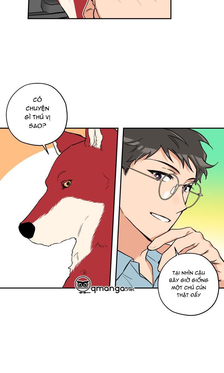 gâu gâu! chapter 33 25
