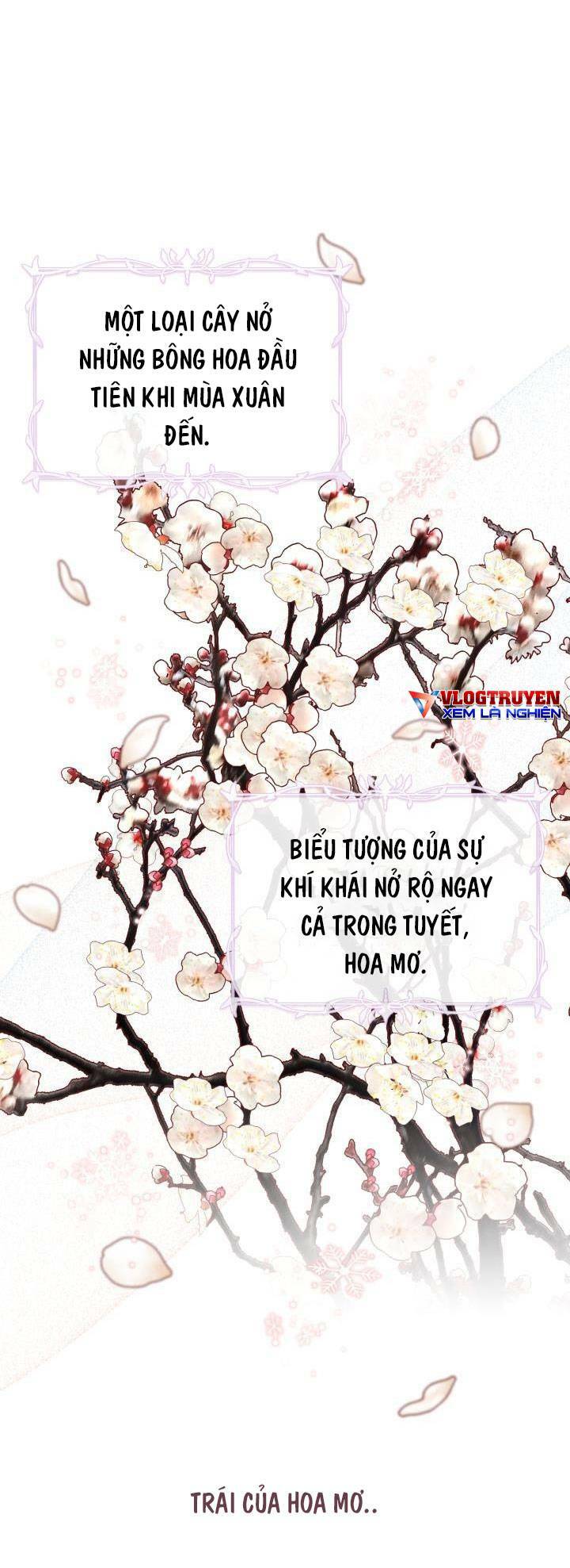 công chúa dược sĩ bé con chapter 7 29