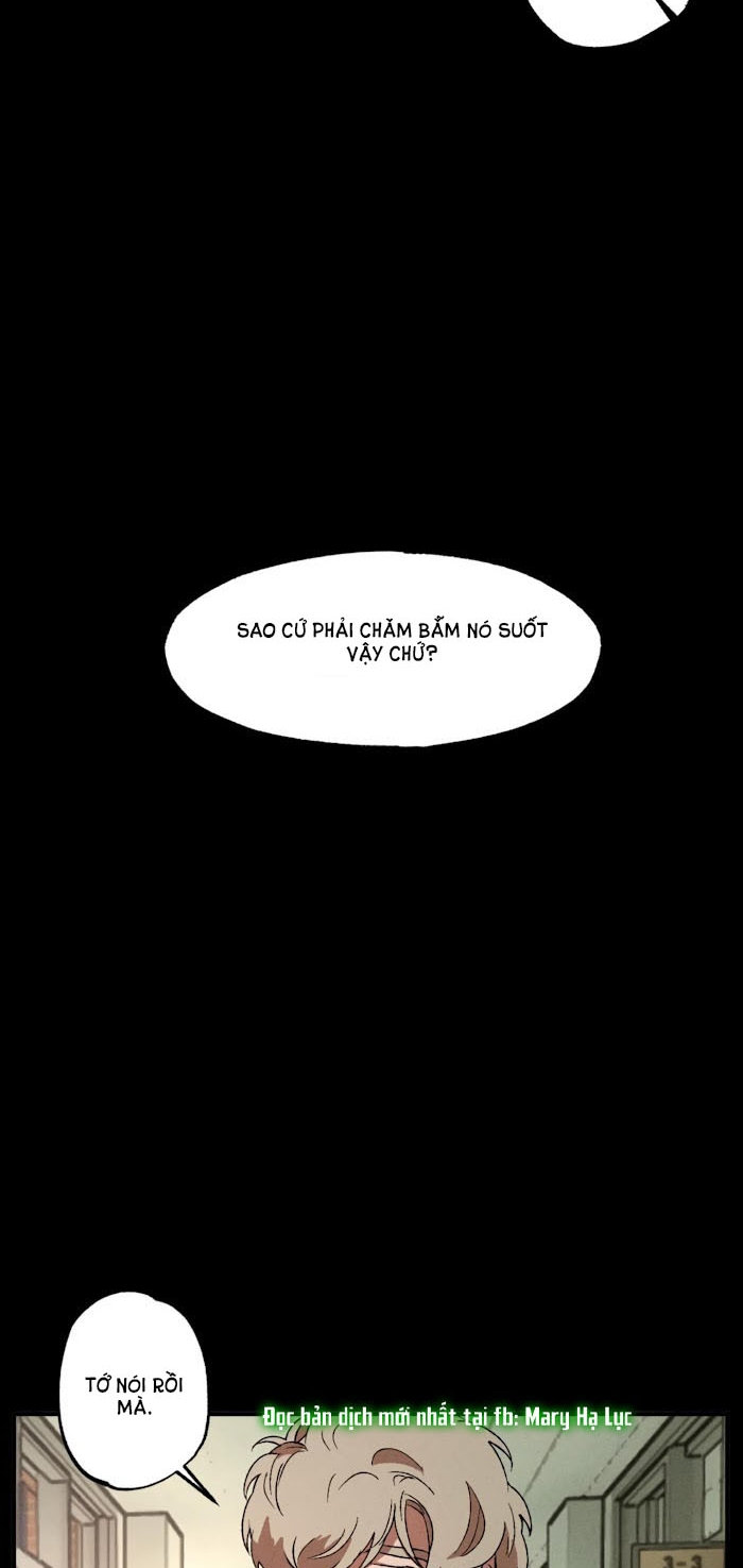 bẫy kép chapter 12 28