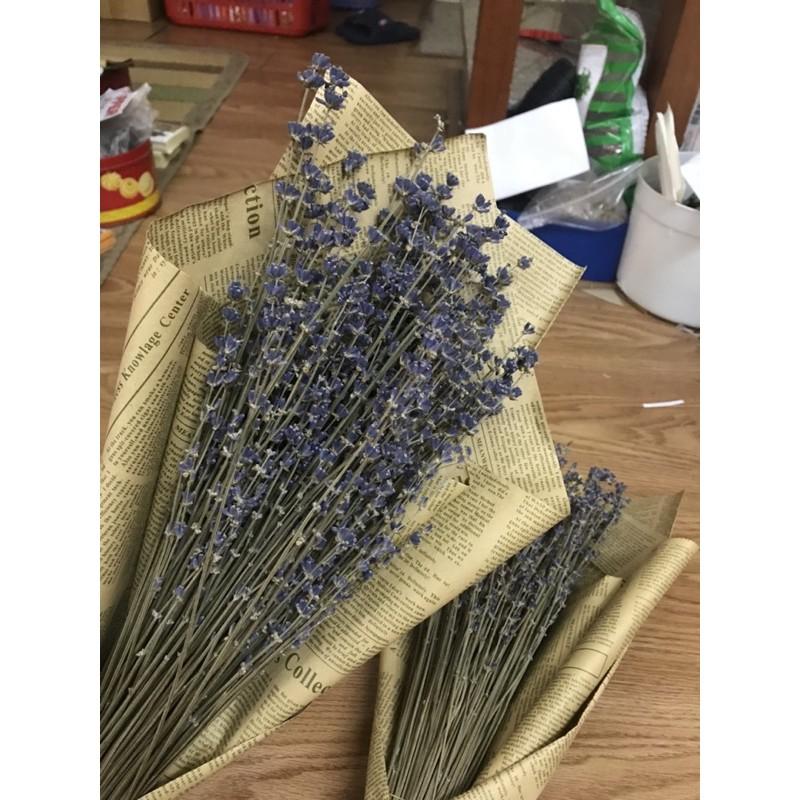 Hoa oải hương khô, Hoa lavender Pháp, Hoa khô tặng quà