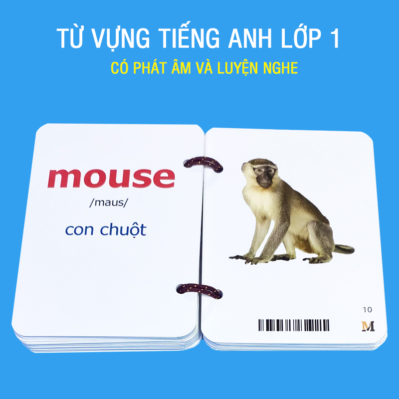 Flashcard tiếng Anh Lớp 1 BGD (khổ lớn A6), có phát âm, hình ảnh và màu sắc sinh động