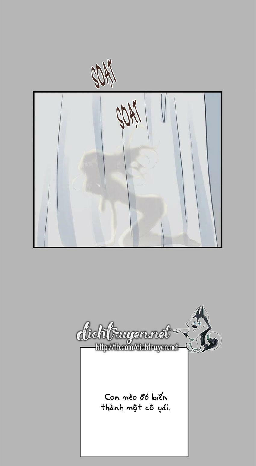 cuộc sống kỳ thú chapter 14 43