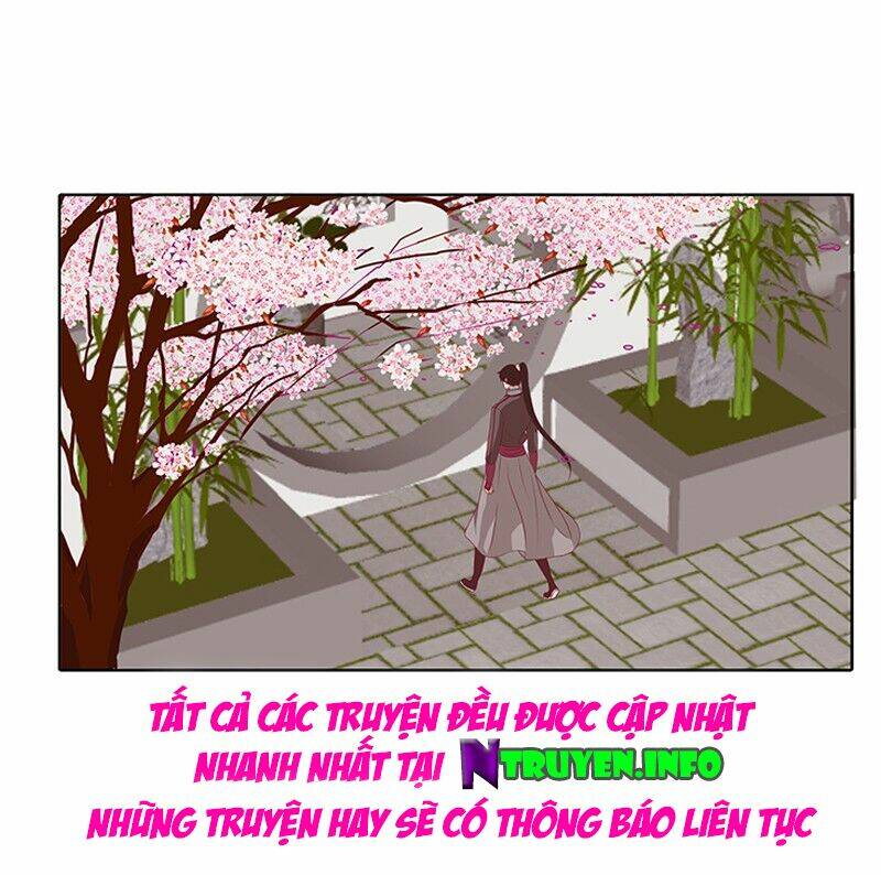 tướng quân mời ra trận chapter 65 16