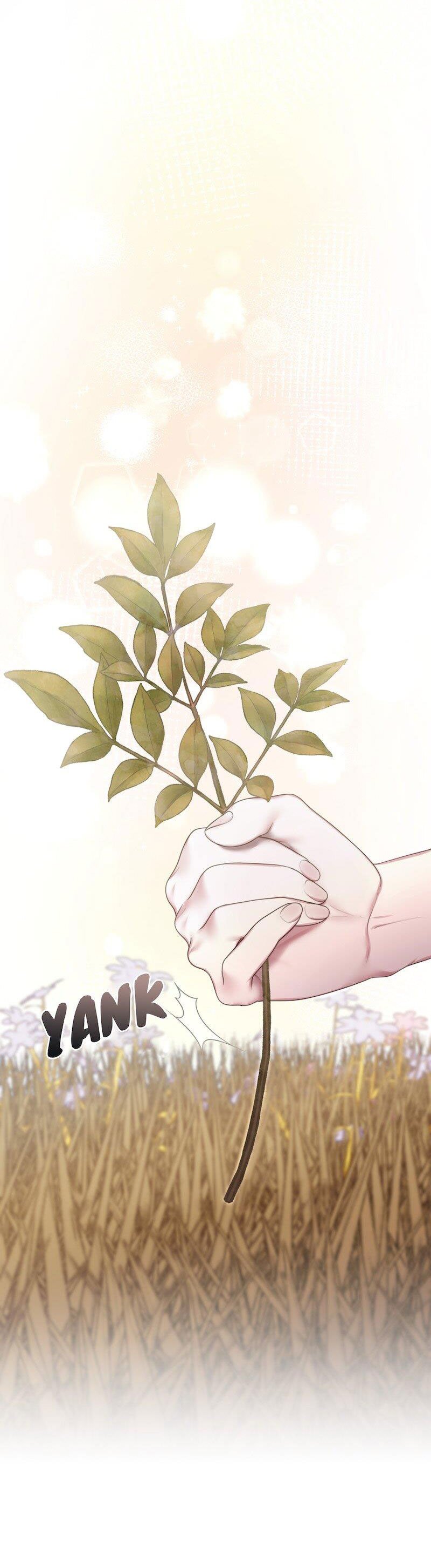 nữ hầu muốn đình công chapter 38 5