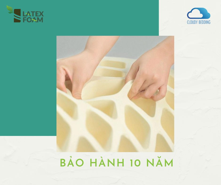 NỆM CAO SU THIÊN NHIÊN LATEXFOAM