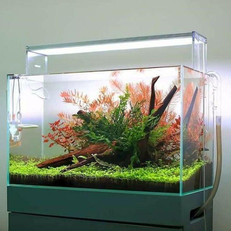 Phân nền Nhật Bản Aqua Best cho bể thuỷ sinh - Nền cho hồ tép - phụ kiện cá cảnh- shopleo