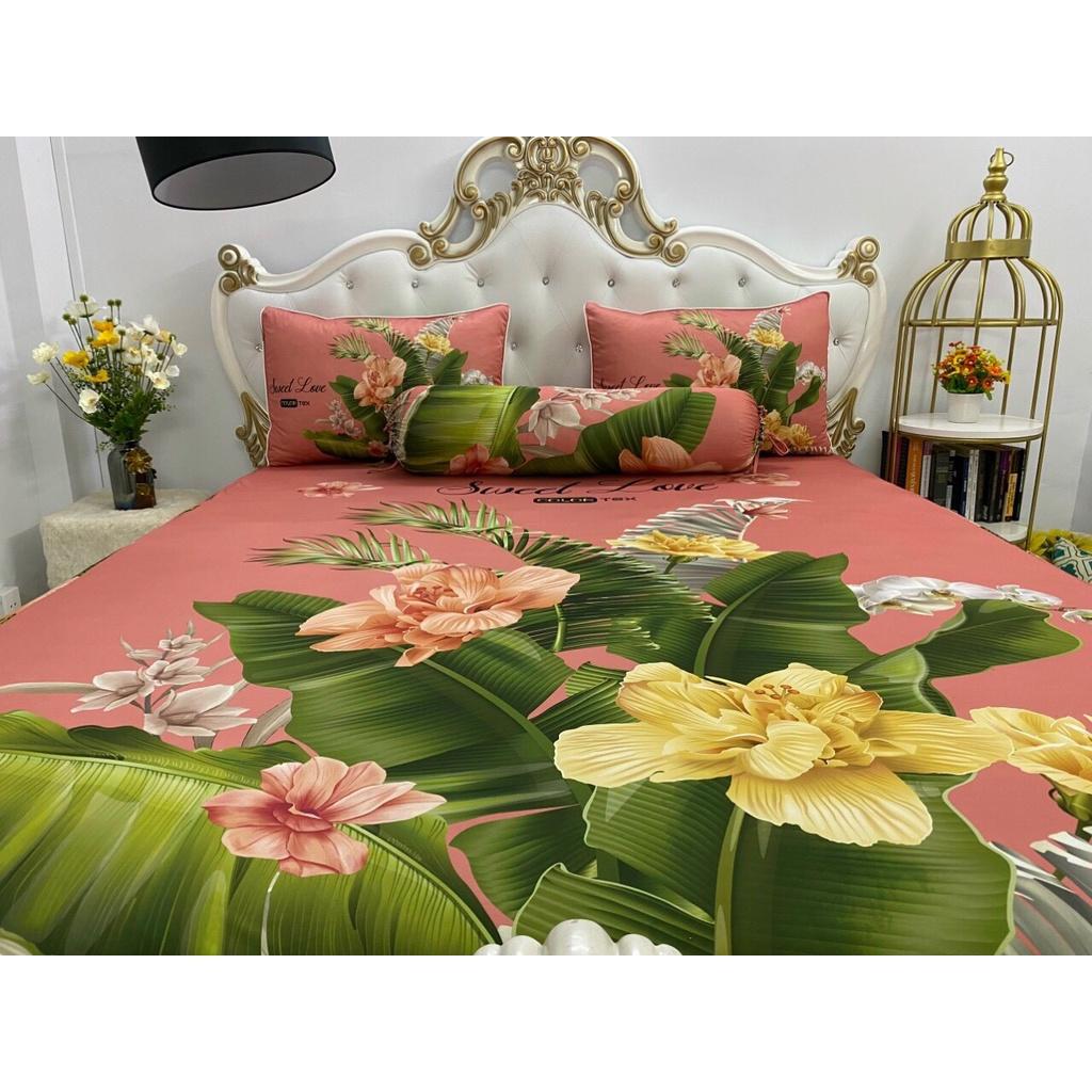 Bộ Drap+áo gối thun Ý 5D Cao Cấp , mát lạnh, thấm hút tốt