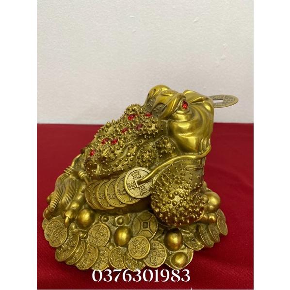 Cóc ngậm tiền, linh vật phong thủy