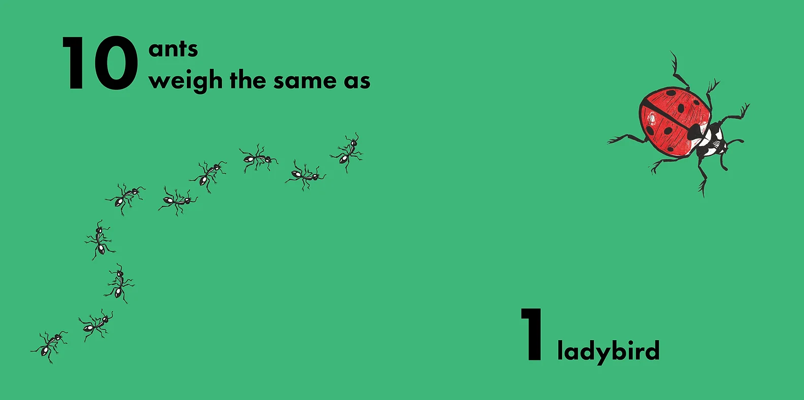 How Much Does A Ladybird Weigh?