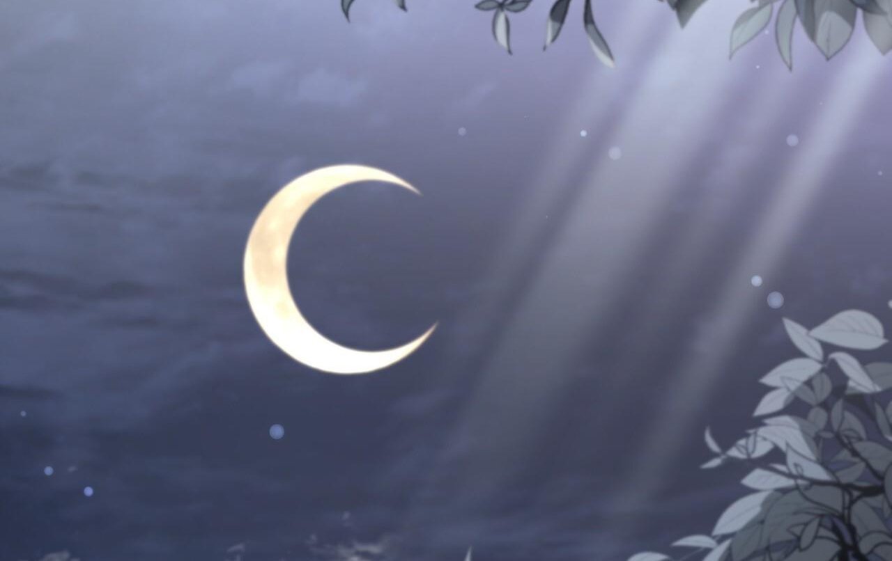 những chú thỏ của hapypy chapter 61 160