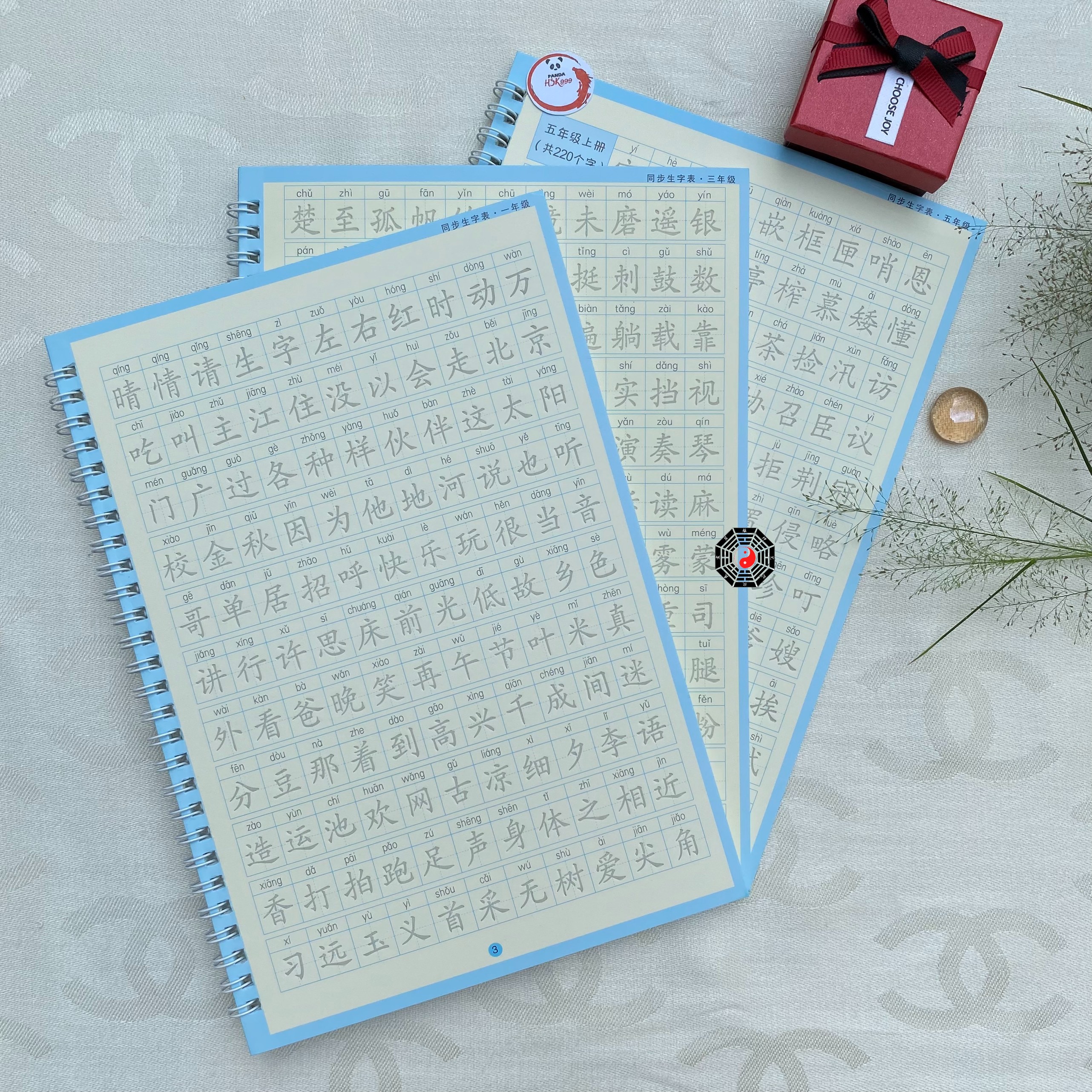 Vở Học Viết Tiếng Trung Trọn Bộ 3000 Chữ Hán Căn Bản