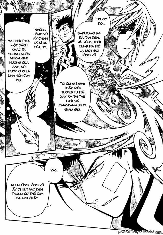 huyền thoại đôi cánh chapter 233 8