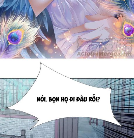 bổn vương muốn nàng chapter 40 2