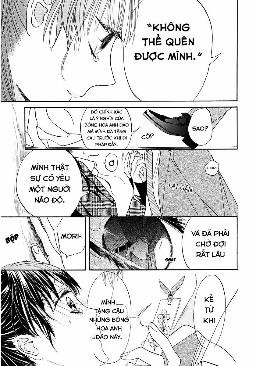 dưới bóng cây anh đào chapter 1 31