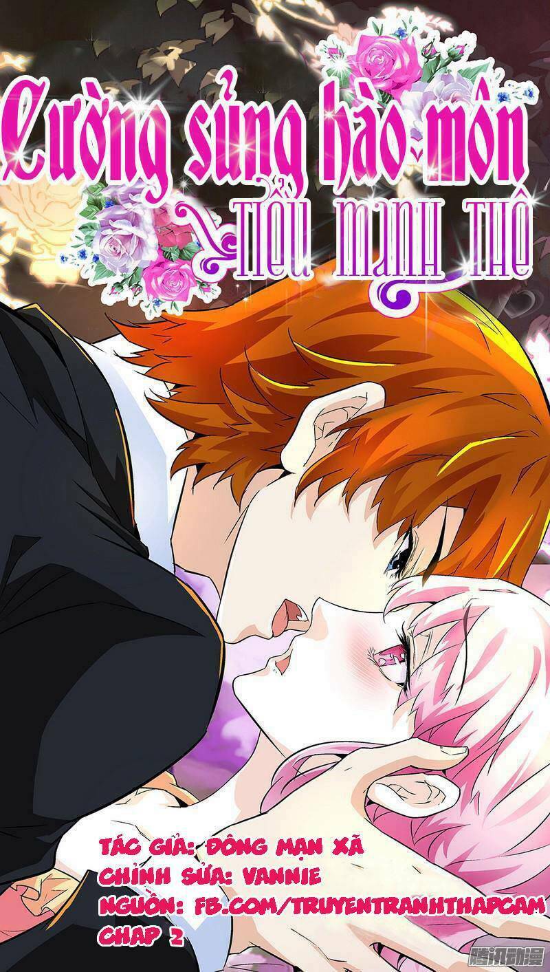 cường sủng hào môn tiểu manh thê chapter 2 1