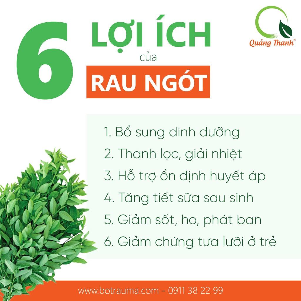 [CHÍNH HÃNG] Bột Rau Ngót Quảng Thanh nguyên chất - Tốt cho sức khỏe, bổ dưỡng, thanh nhiệt đào thải độc tố - Hộp 30g