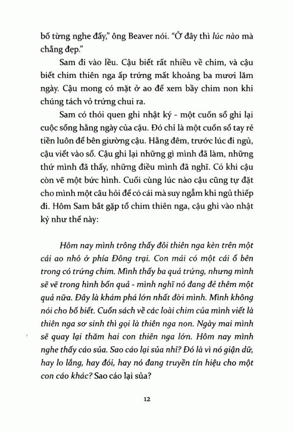 Tiếng Kèn Thiên Nga