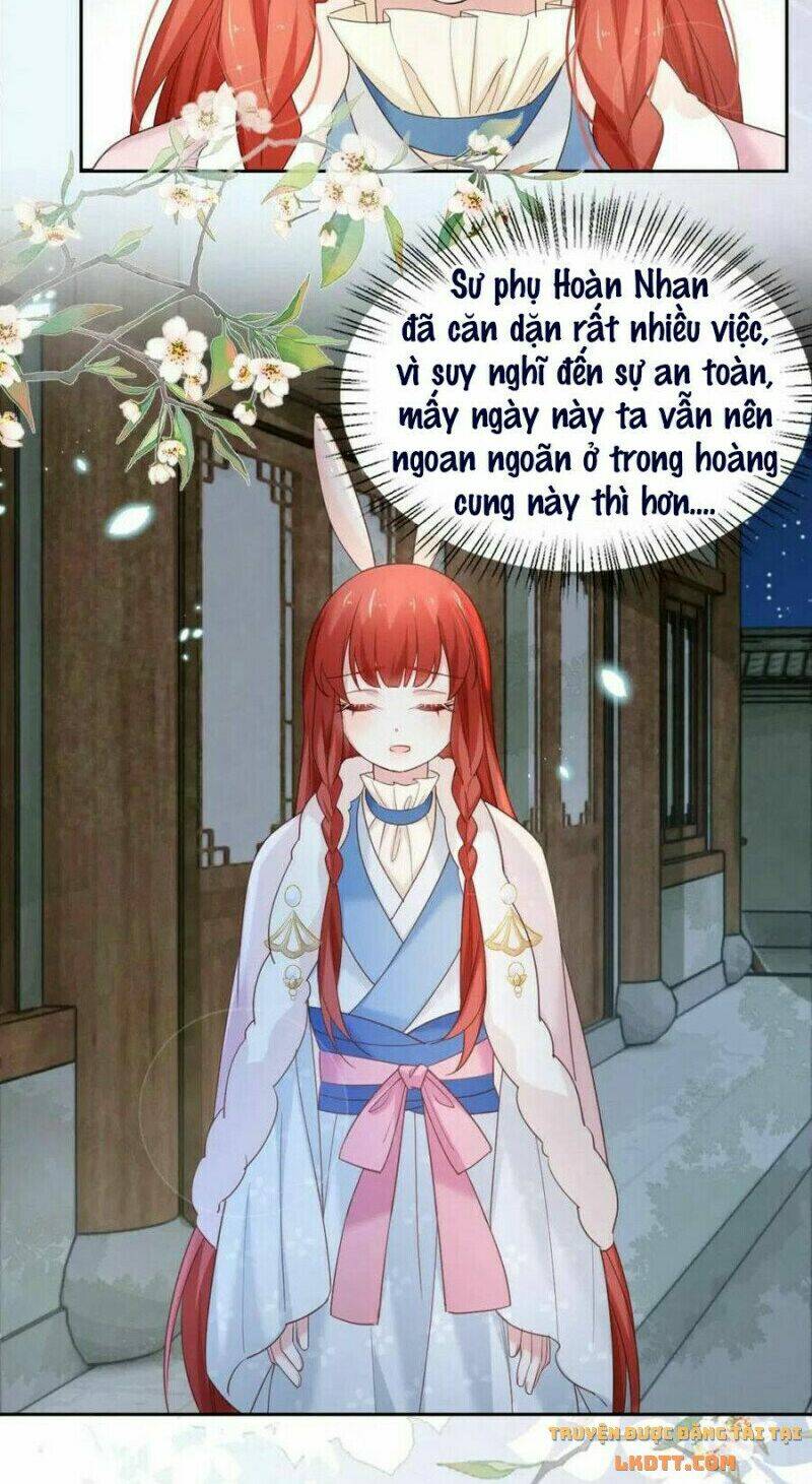 hắc hóa nam chính trực tuyến nuôi thỏ chapter 61 30