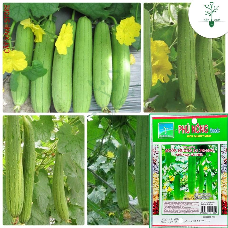 Hạt Giống Mướp Hương F1 - Phú Nông Seeds