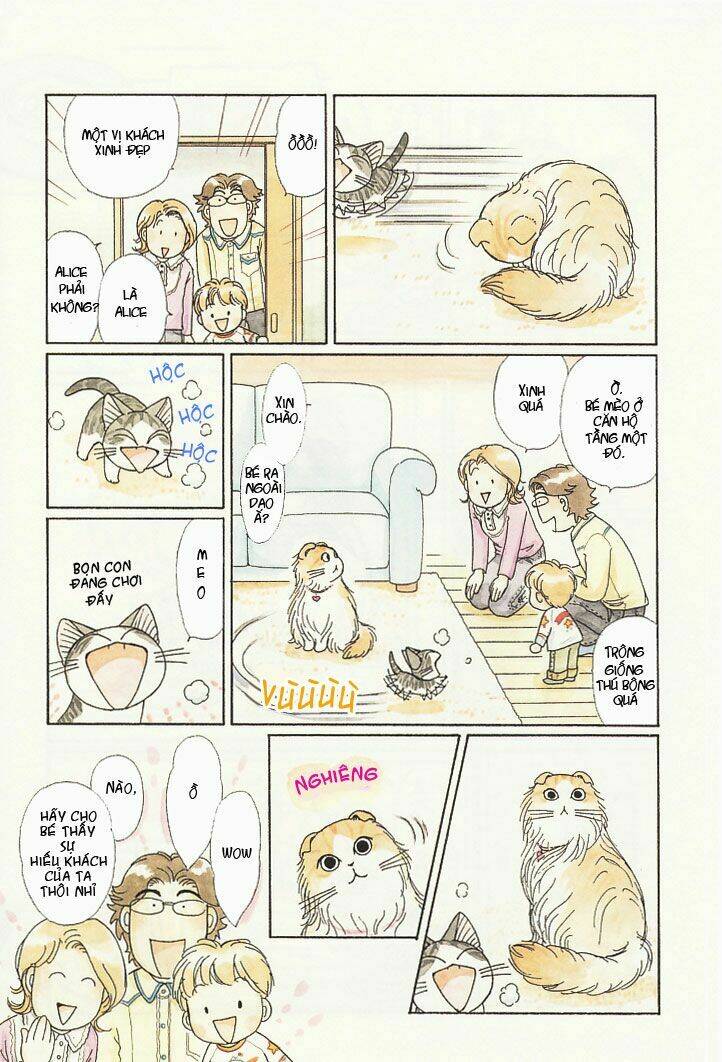 chi's sweet home chapter 75 6