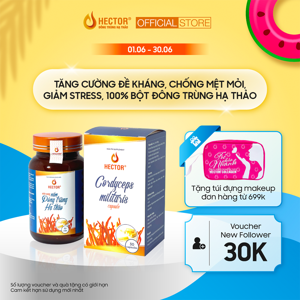 Hector Đông Trùng Hạ Thảo Viên Nang 100% Chính Hãng Tăng Cường Sức Khỏe, Tăng Sức Đề Kháng, Hỗ Trợ Tiểu Đường, Cao Huyết Áp, Mất Ngủ Hộp 30 Viên